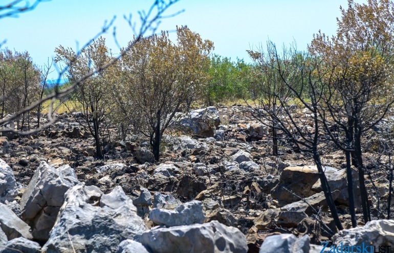 Spaljivanjem biljnog otpada izazvao požar kod Šibenika