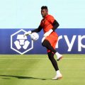 Kamerunci izbacili vratara Intera iz reprezentacije neposredno pred susret sa Srbijom