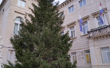 Na Narodni trg stiglo božićno drvce, smreka visoka 15 metara