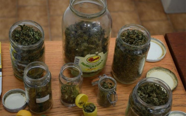 Pao 21-godišnji diler s 116,04 grama marihuane