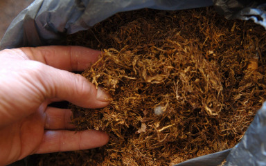 Kod 61-godišnjaka u Benkovcu pronađeno 17 kilograma rezanog duhana