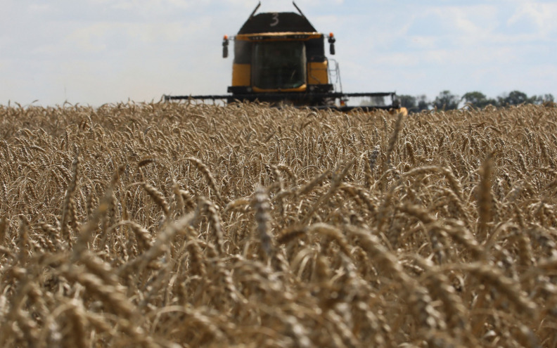 Rusi uzeli milijardu dolara sa žitnih ukrajinskih polja