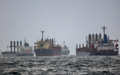 Ukrajina traži brže inspekcije brodova unutar žitne inicijative