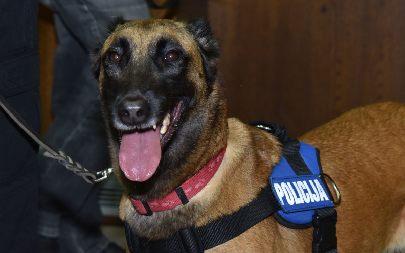 Na graničnom prijalzu pronađeno 11 kilograma heriona, glavni junak policijski pas Don