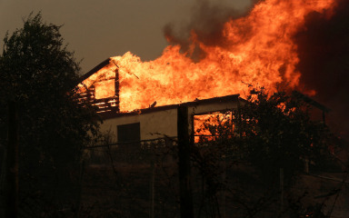 Šumski požari pokosili Čile, najmanje 13 mrtvih