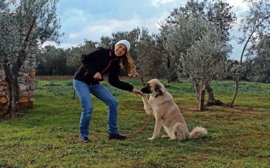 Ugljanska Čehinja uči vlasnike pasa kako uživati u životu sa svojim ljubimcima