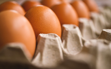Hrvati bi ovog Uskrsa mogli jesti najskuplja jaja u Europi, evo u čemu je problem