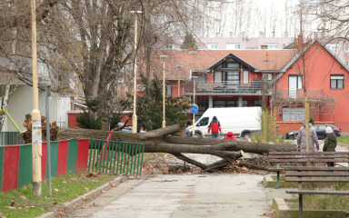 Snažni vjetar u više županija: Padala stabla, oštećeni krovovi
