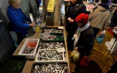 Skraćen lovostaj za malu ribu, evo kada bi srdele i inćune mogli naći u prodaji